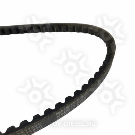 13A1150C Ремень клиновой 13x1150 Man/Mercedes Benz/Renault/Volvo/Iveco/Freightliner Dayco купить рис.3