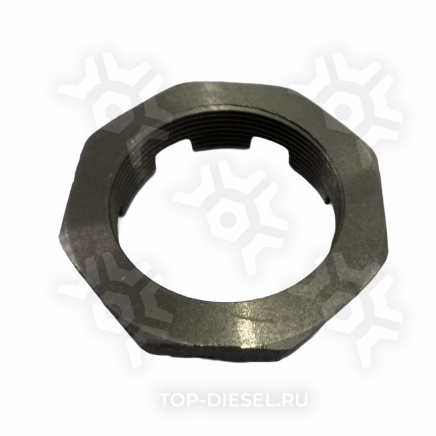 54266 Гайка ступицы корончатая M60x2 H=20 SW80 RHT Scania Auger купить