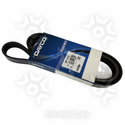 6PK1613 Ремень поликлиновой привода кондиционера Volvo VNL/Cummins ISX Dayco купить рис.2
