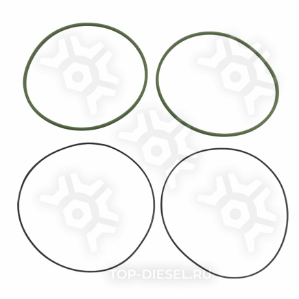 216930 Комплект уплотнительных колец гильзы MAN F2000/TGA Elring купить