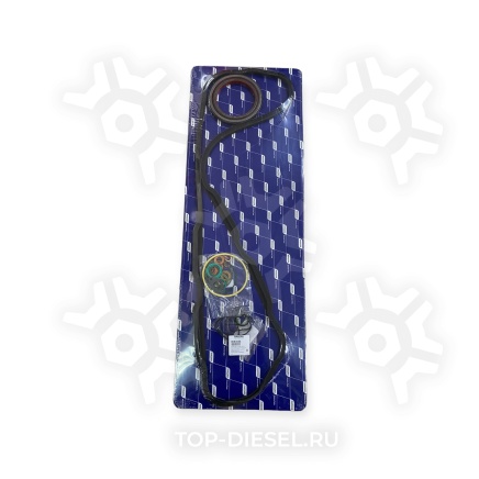 2299986 Ремкомплект двигателя полный DAF CF/XF 105 большой DAF купить рис.2