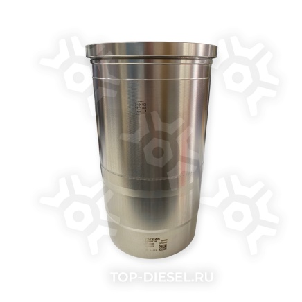 2299986 Ремкомплект двигателя полный DAF CF/XF 105 большой DAF купить рис.37