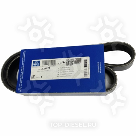 221079 Ремень поликлиновой Volvo FH12/FL12 8PK955 Diesel Technic купить рис.2