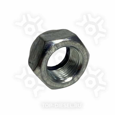 800117 Гайка стремянки M24x2 H=19 SW36 Onyarbi купить рис.2