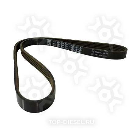 5PK1054 Ремень привода генератора International 9800 Cummins 11 Dayco купить
