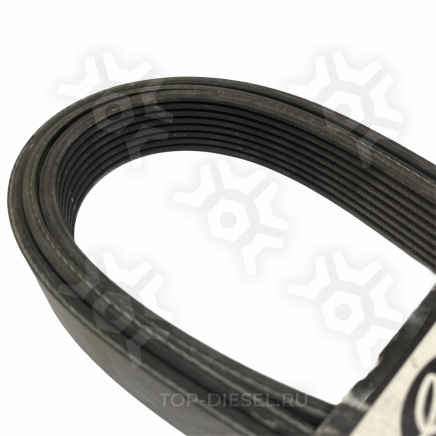 K081005 Ремень поликлиновой привода вентилятора/генератора C-13 Gates купить рис.3